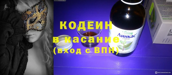 индика Балахна