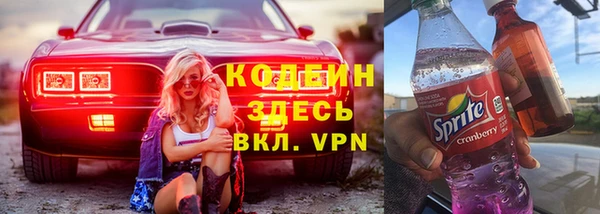 индика Балахна