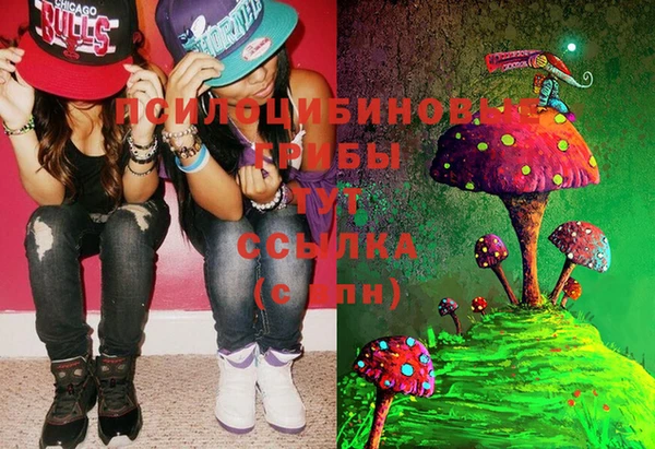 индика Балахна