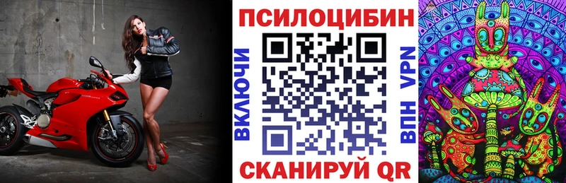 где купить наркоту  Ленинск  Псилоцибиновые грибы мицелий 